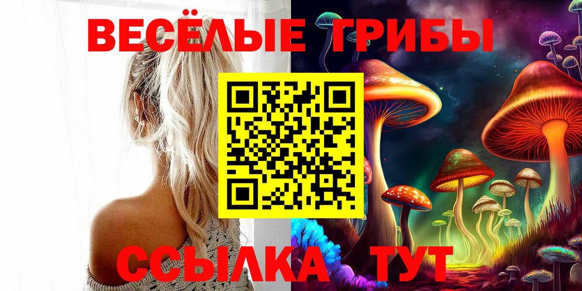 наркота  Псилоцибиновые грибы ЛСД  Вход с VPN  Верхняя Салда 